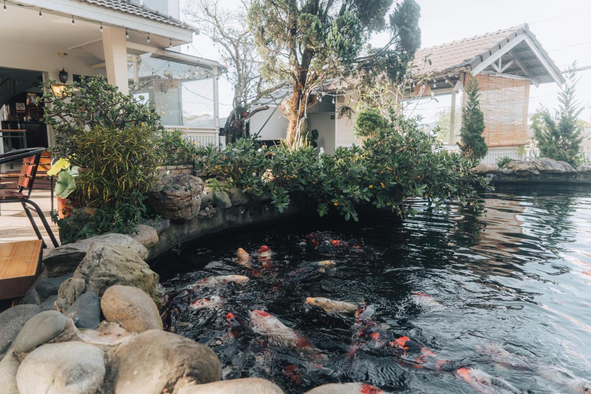 Villa Hotel Du Thuyen دالات المظهر الخارجي الصورة